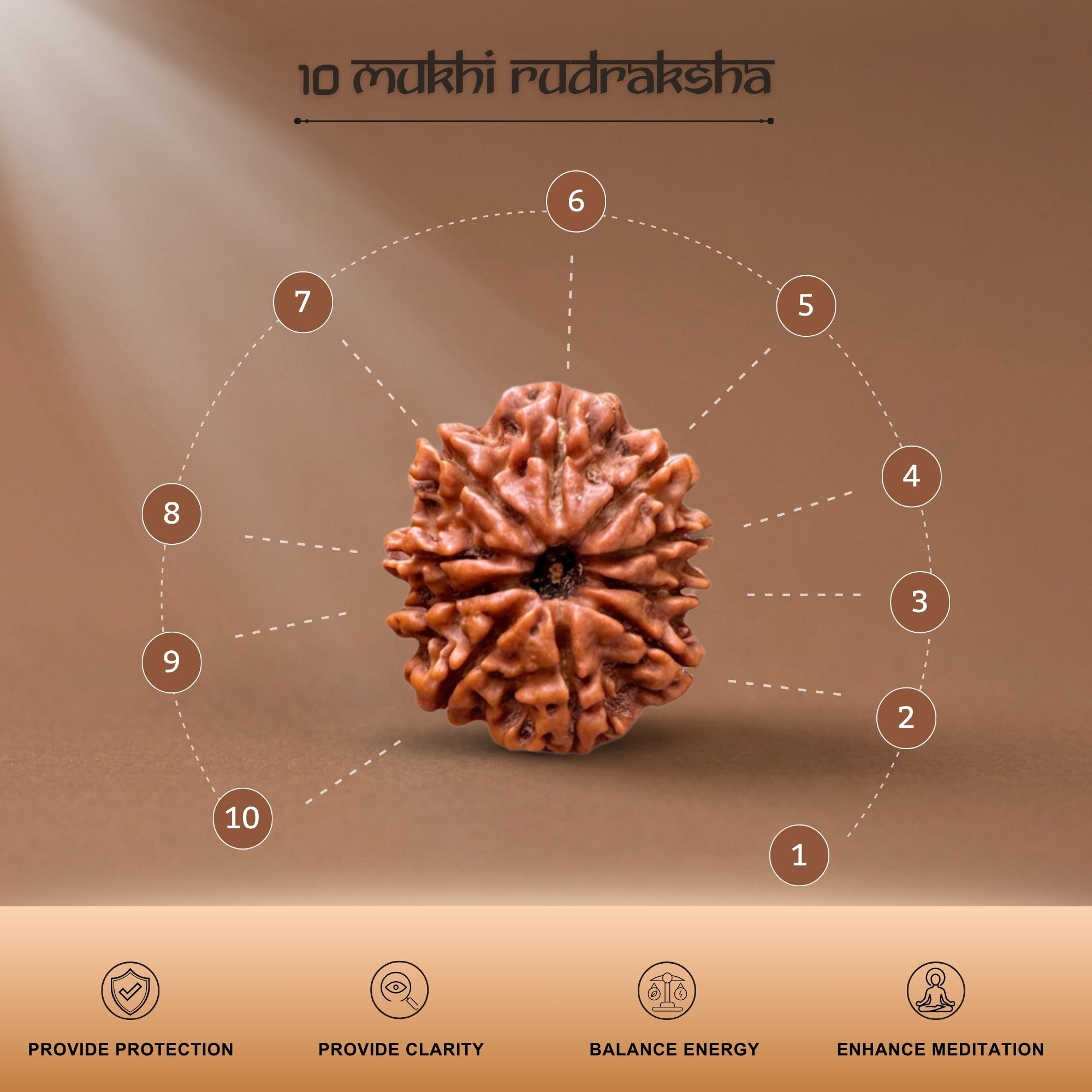 10 Mukhi Nepal Origin Rudraksha 18mm