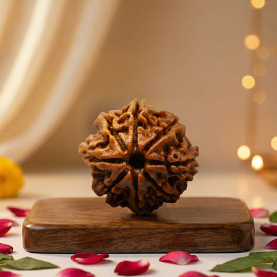 mere krishna 8 Mukhi Rudraksha bead 